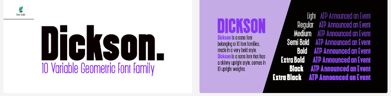 [Myfonts] Dickson Font Family (2022)_0.png